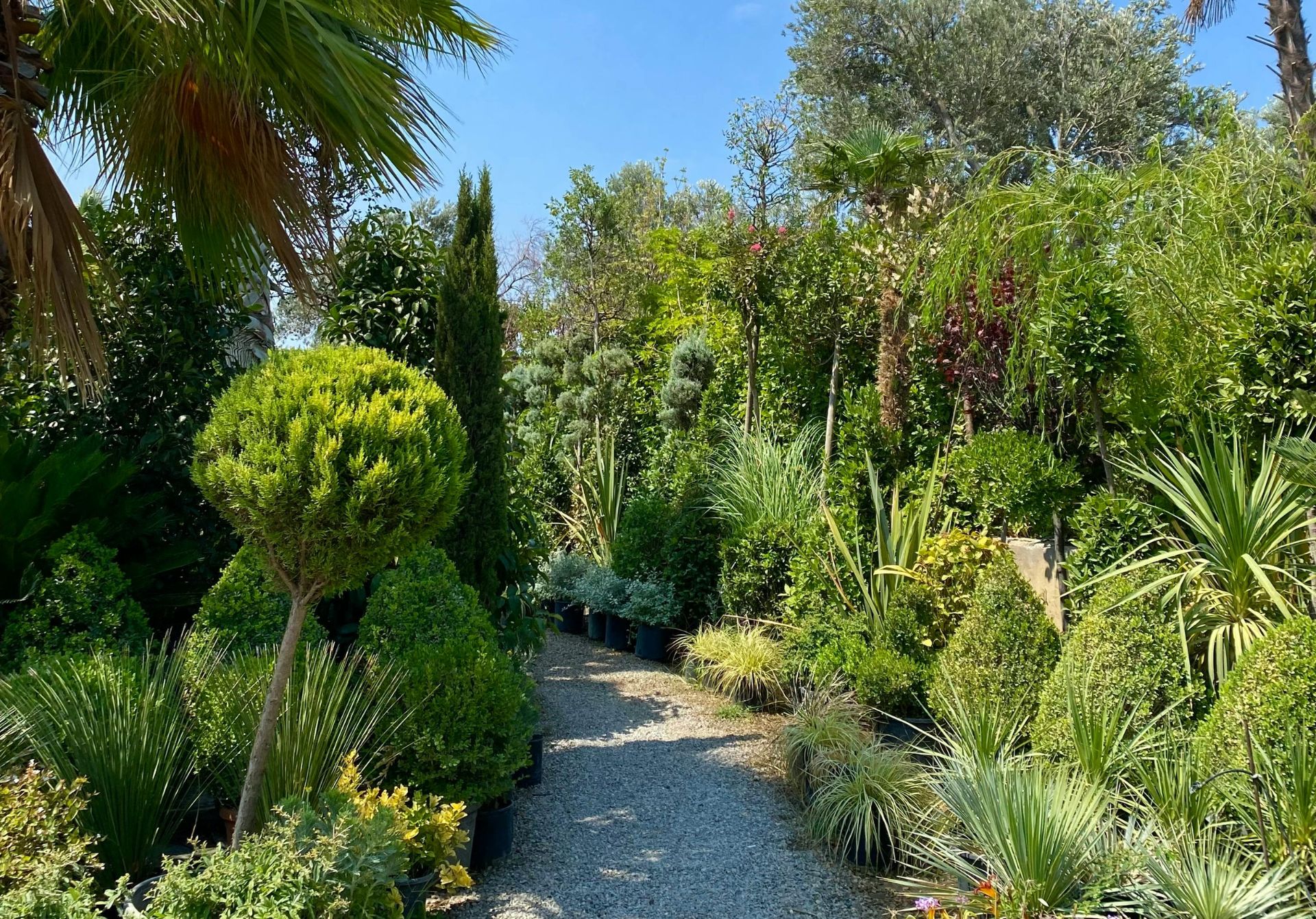 Johannesburg Botanical Garden